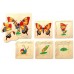 Butterfly Lifecyle Layered Puzzle
